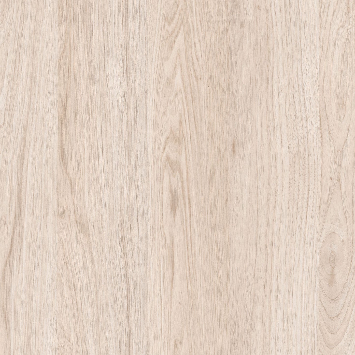 product-4008311-1