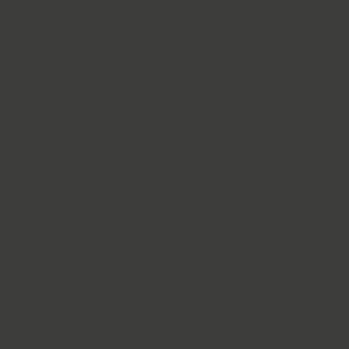 product-4009381-1