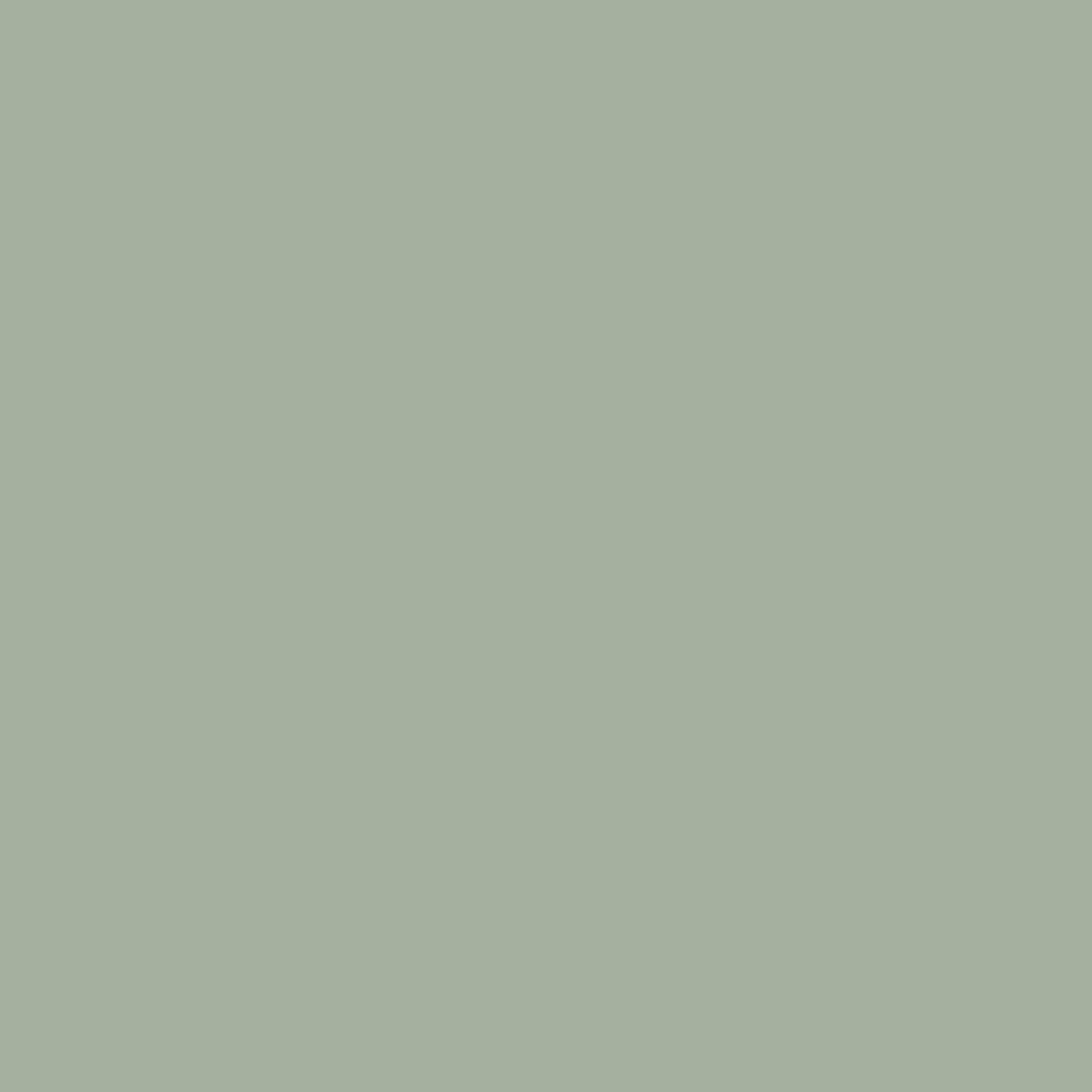 product-4009704-1