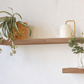 Floating Shelves